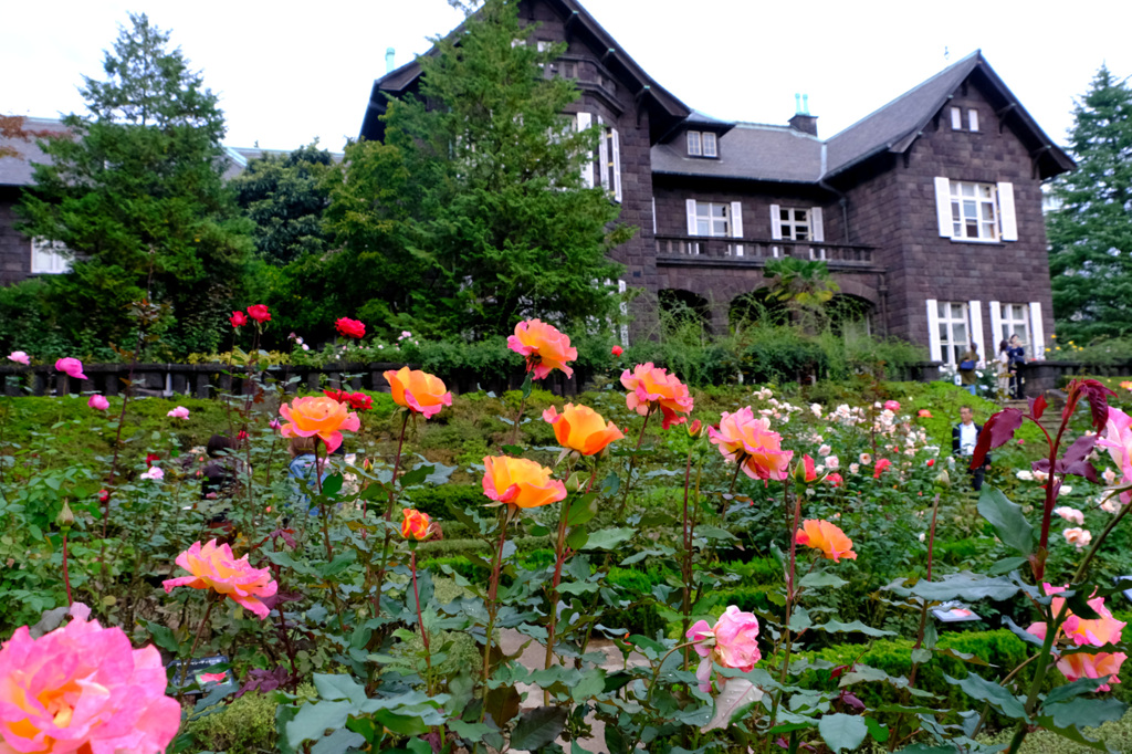 リオサンバ(米）と洋館