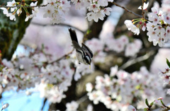 虫をとったぞ～