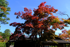 11月4日