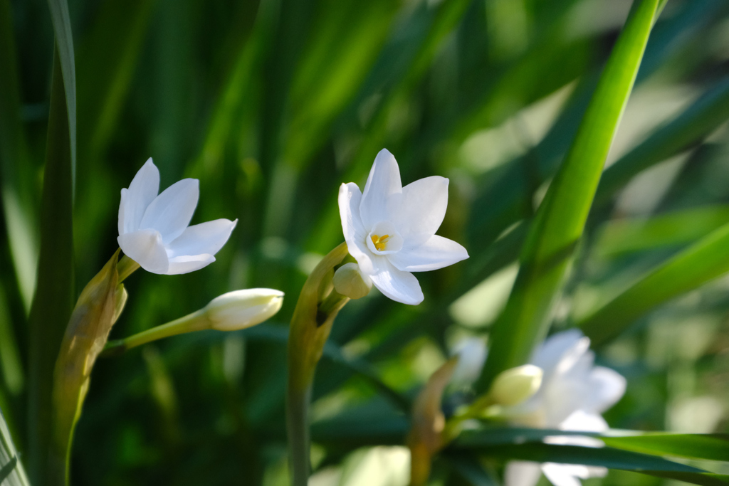 12月12日