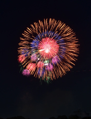 久しぶりの花火２
