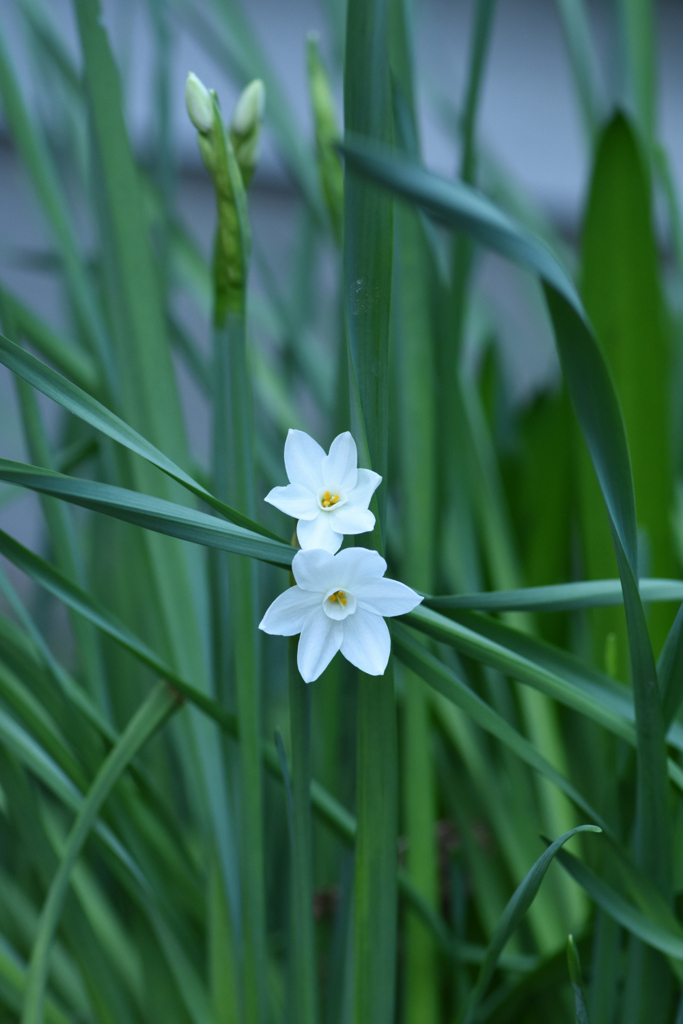 12月6日