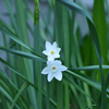 12月6日