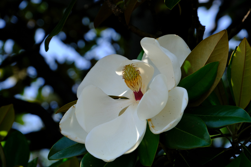 5月30日