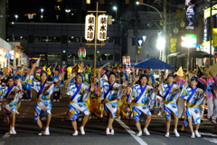 阿波踊り1