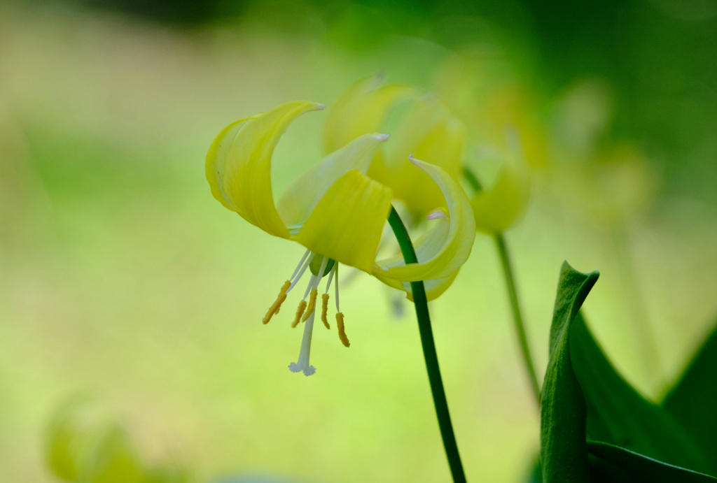 4月１０日２輪