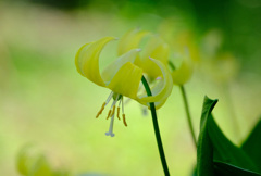 4月１０日２輪