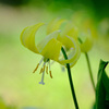 4月１０日２輪