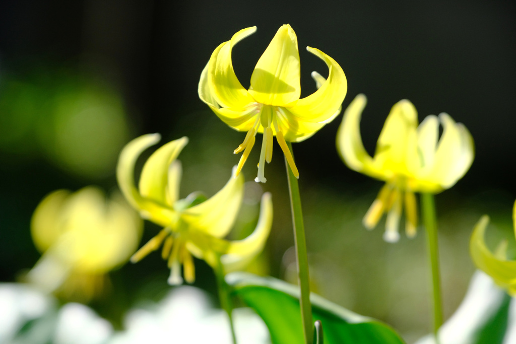 4月8日