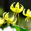 4月8日