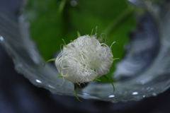 7月10日7時42分