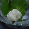 7月10日7時42分