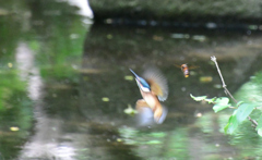 水からあがる