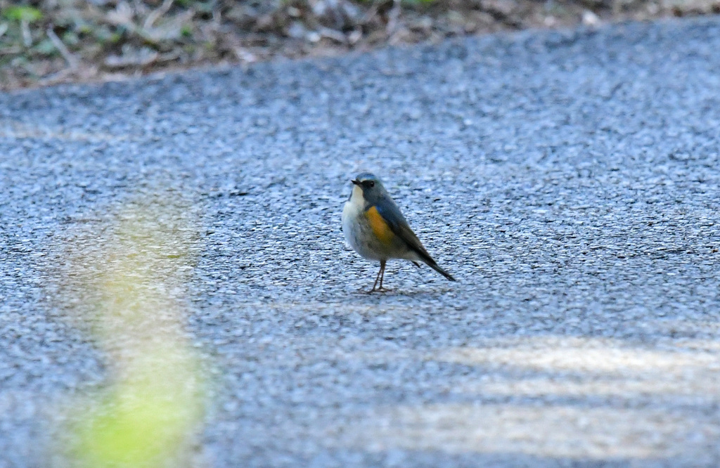 背すじ伸ばして