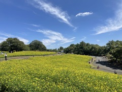 広角はスマホで