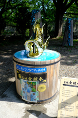 名古屋の水