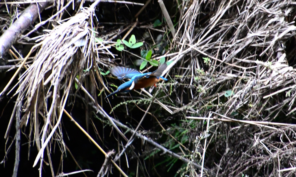 そして、即飛んだ