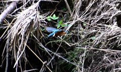 そして、即飛んだ