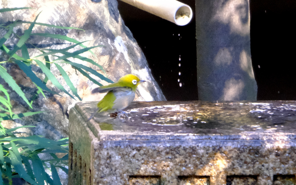 うーん、いい湯だった