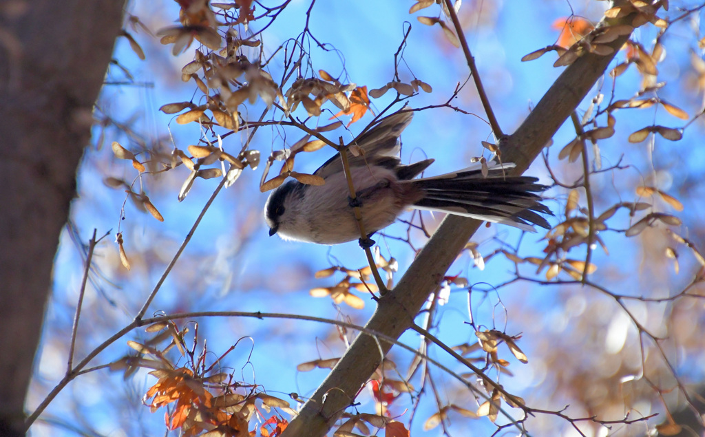 さあ飛び出そう