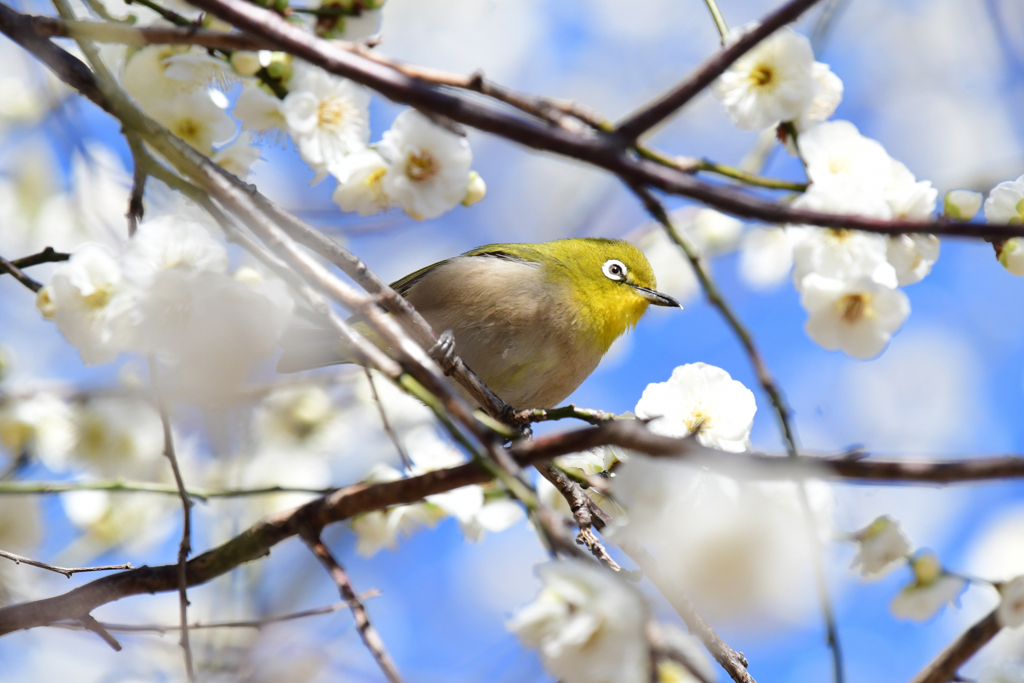 さて次は