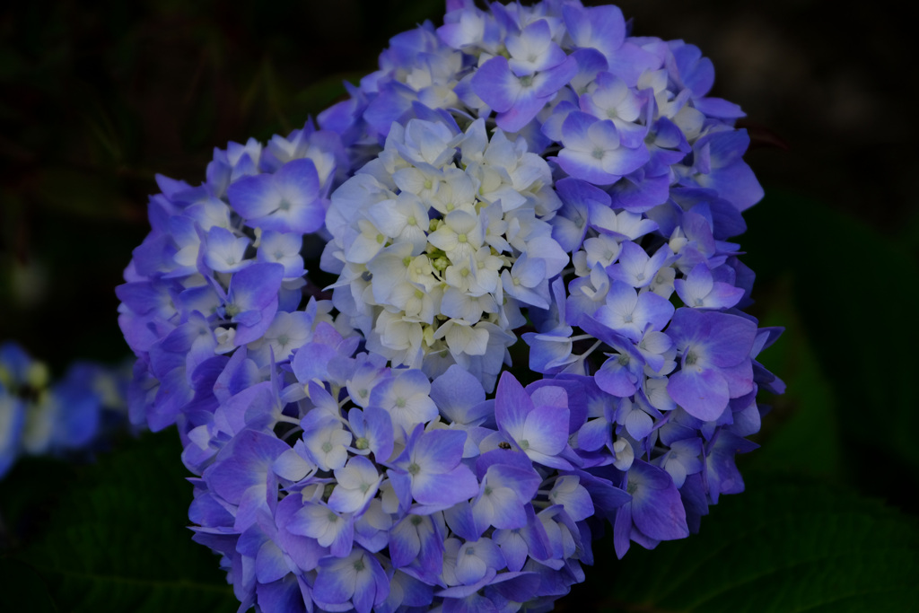 どういうつくり？