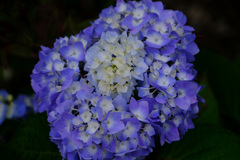 どういうつくり？