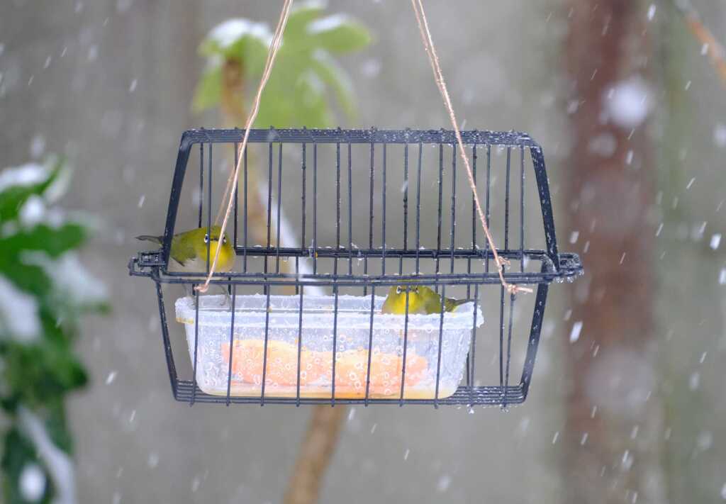 2月降りしきる雪