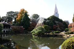 ドコモタワーを入れて