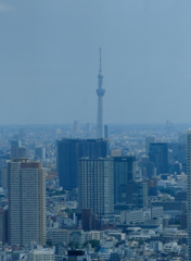 南展望室からのスカイツリー