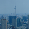 南展望室からのスカイツリー