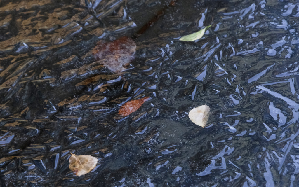 閉じ込められて