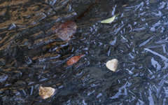 閉じ込められて