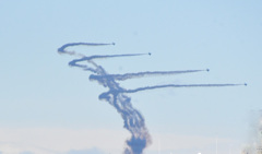 楽しませてもらいました