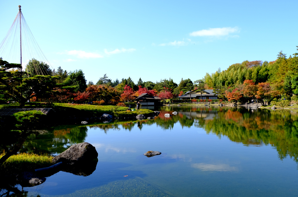 秋日和