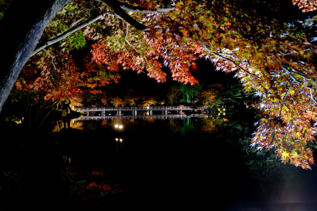紅葉の下に