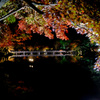 紅葉の下に