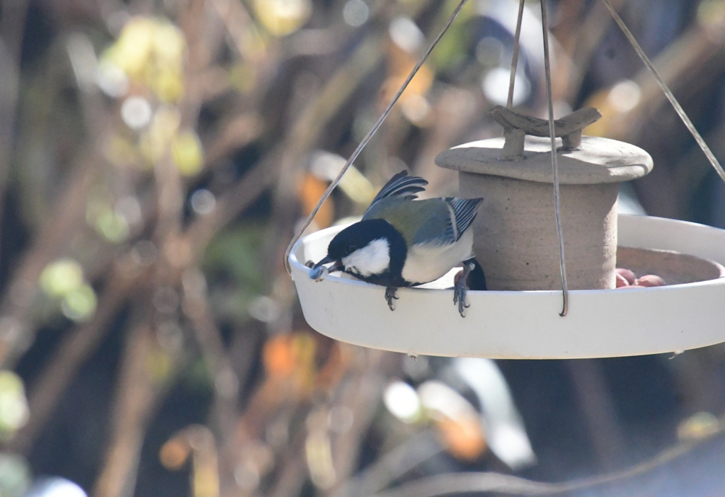 ヒマワリレストラン