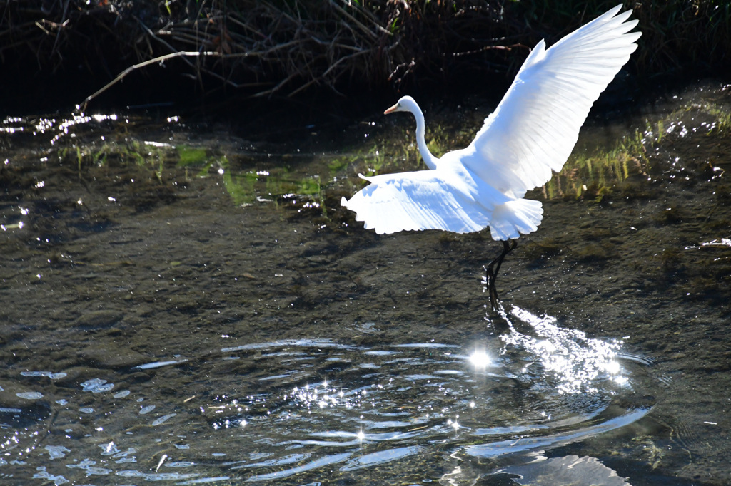 さあ、いずこへ
