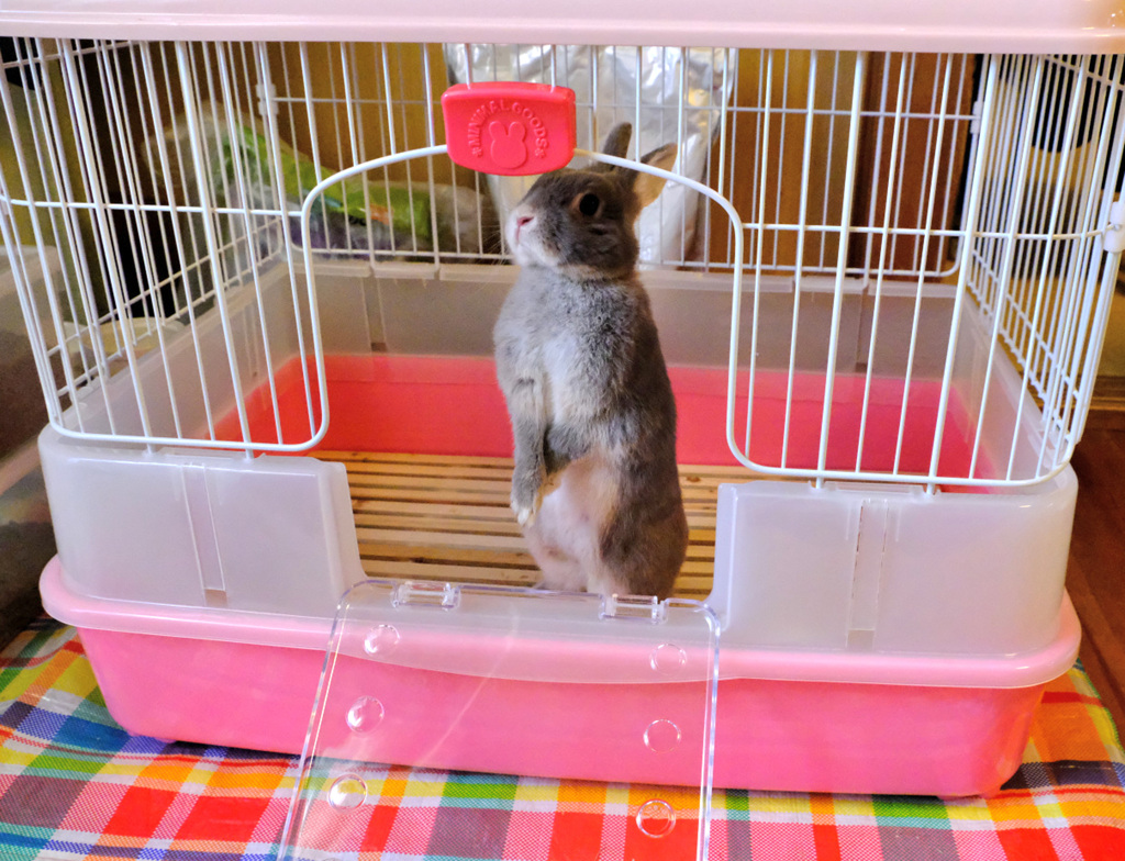 たっち