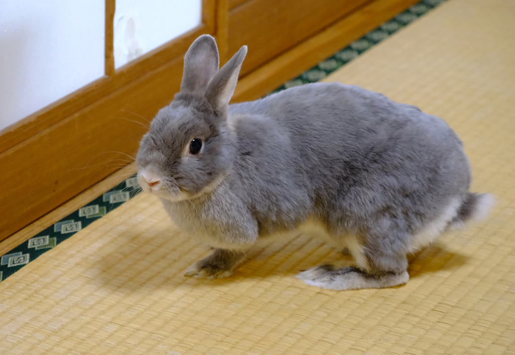 試し撮りポロリ３