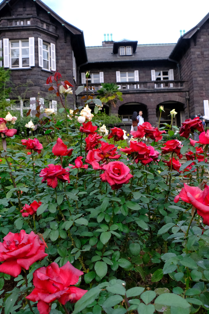 カーディナル(独）と洋館
