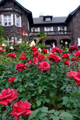 カーディナル(独）と洋館