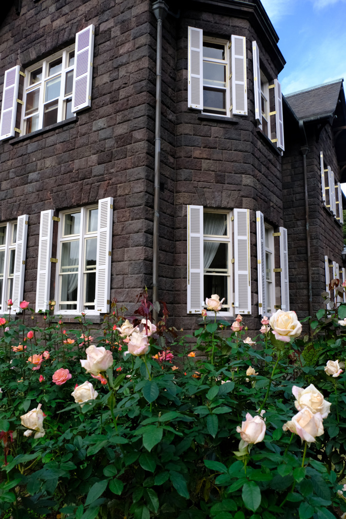 パパメイアン(仏)