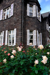 パパメイアン(仏)