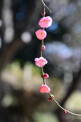 こういうのが好き