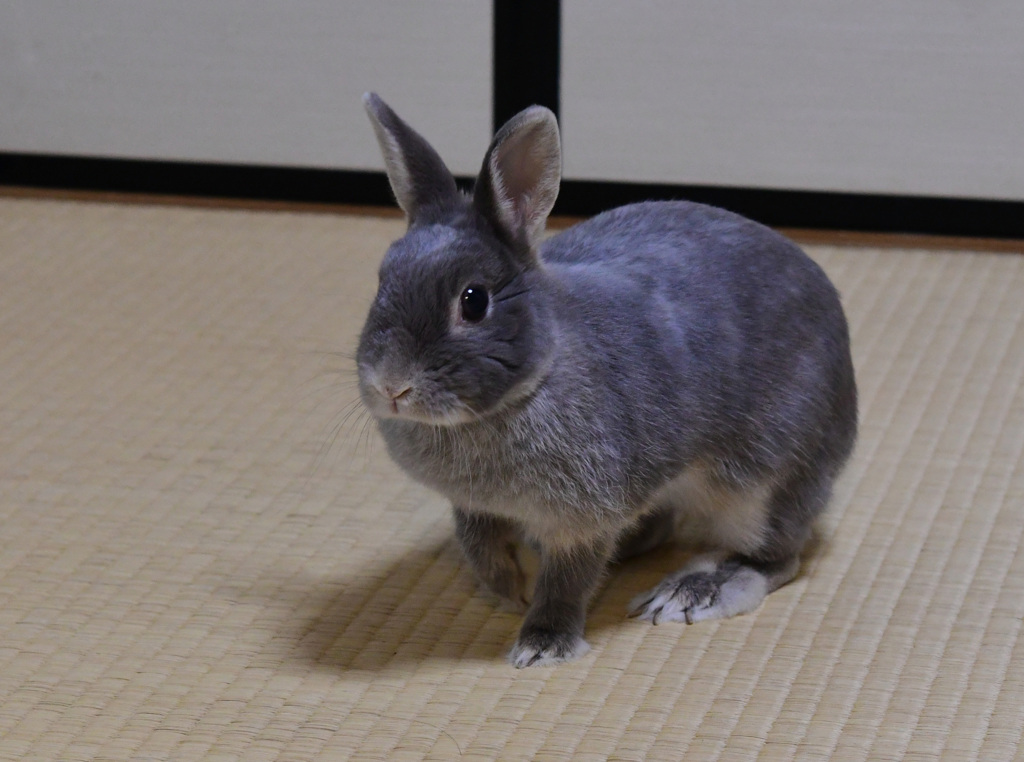 ぴたっ