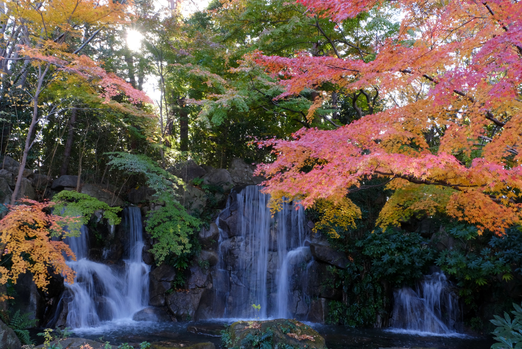 紅葉と滝