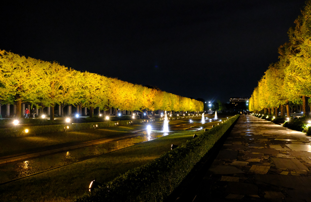 入園口方面を見る