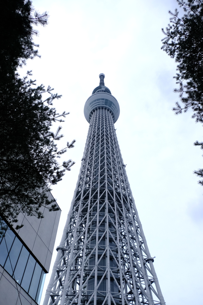 曇り空が残念